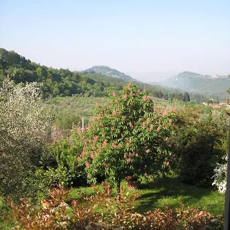Fattoria Il Leccio - Elegant On Florence Hills Daire Fiesole